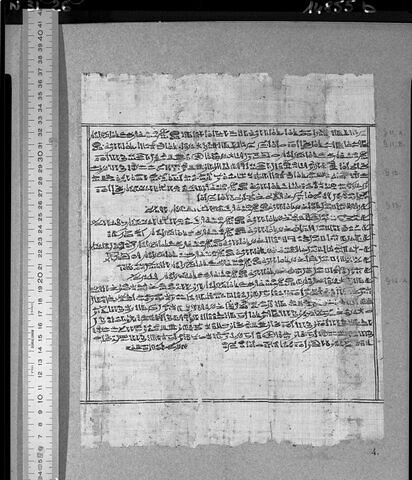 papyrus funéraire, image 3/4