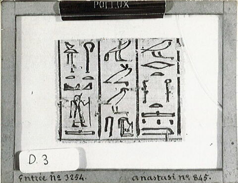 papyrus, image 2/2