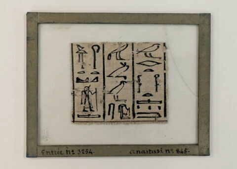 papyrus