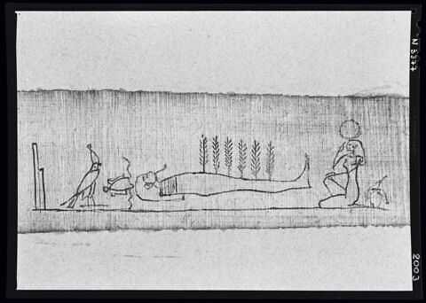 papyrus, image 2/2