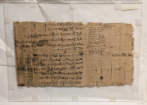 papyrus littéraire ; papyrus documentaire, image 3/7