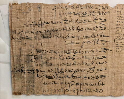 papyrus littéraire ; papyrus documentaire, image 5/7