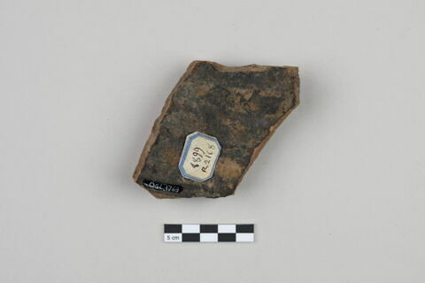 ostracon, image 2/3