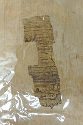 papyrus funéraire, image 4/6
