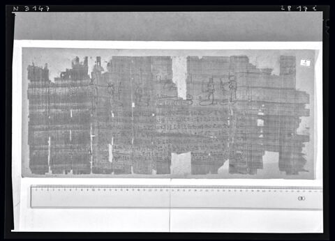 papyrus funéraire, image 8/9
