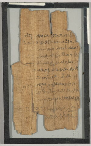 papyrus documentaire, image 2/3