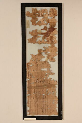 papyrus documentaire, image 2/2