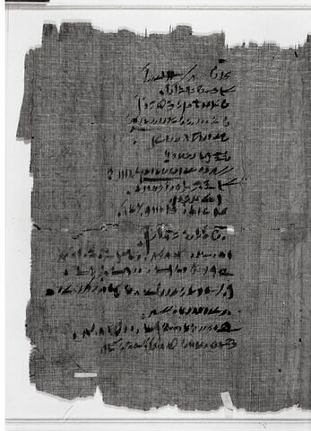papyrus documentaire, image 5/6