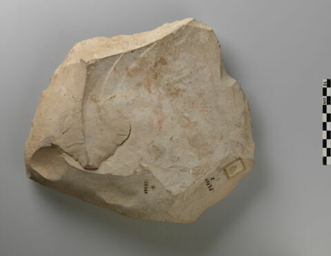 ostracon figuré, image 3/3