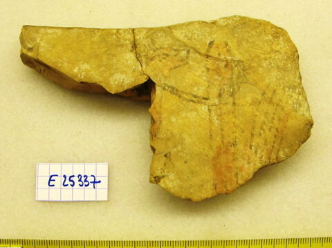 ostracon figuré, image 2/2