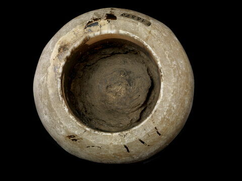 vase canope ; élément momifié, image 2/3