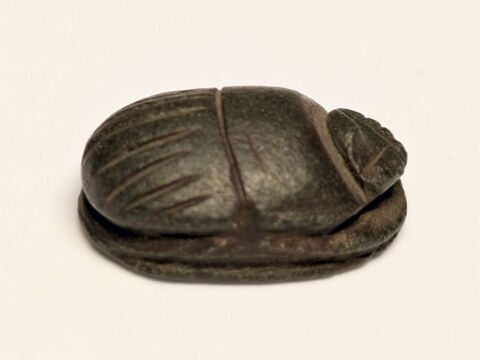 scarabée, image 3/3