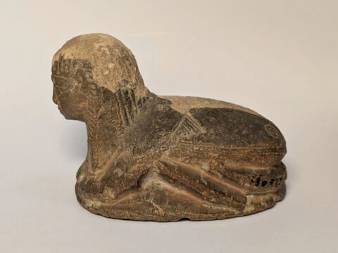 scarabée, image 5/6