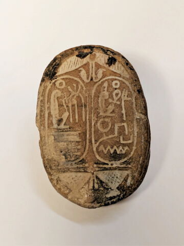 scarabée, image 6/6