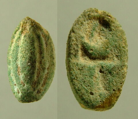perle en demi olive ; perle cauroïde, image 1/1