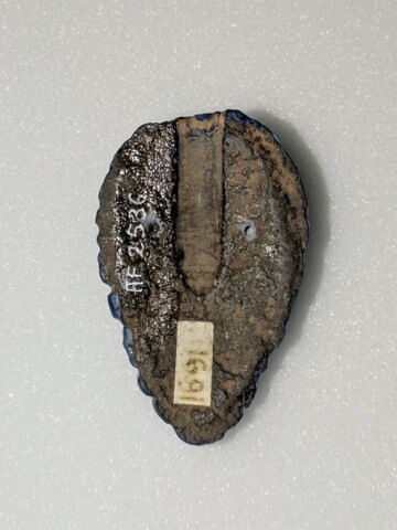 incrustation, image 2/2