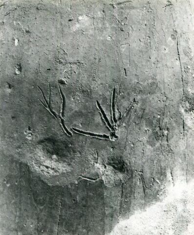jarre, image 3/3