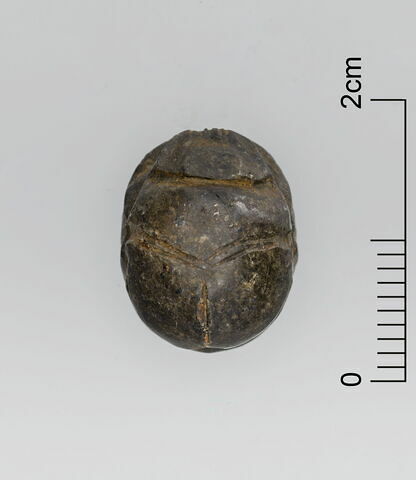 scarabée, image 3/3