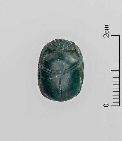 scarabée, image 3/3