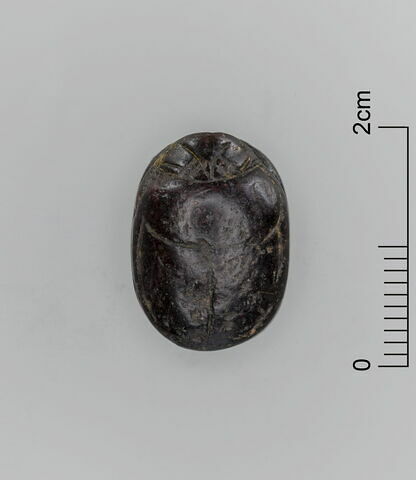 scarabée, image 3/3