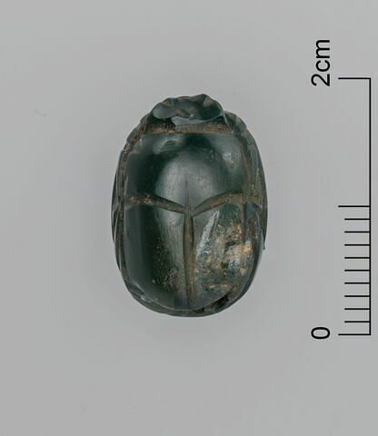 scarabée, image 3/3