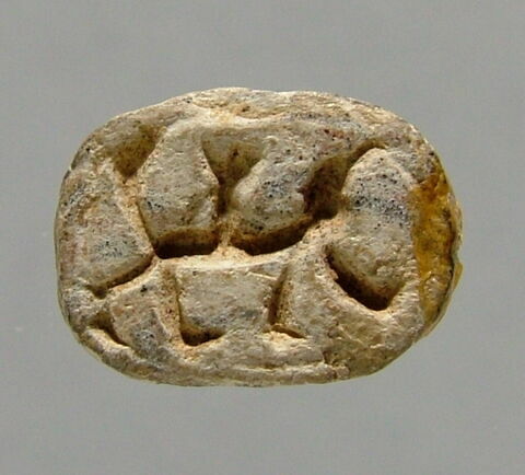 scarabée, image 1/1