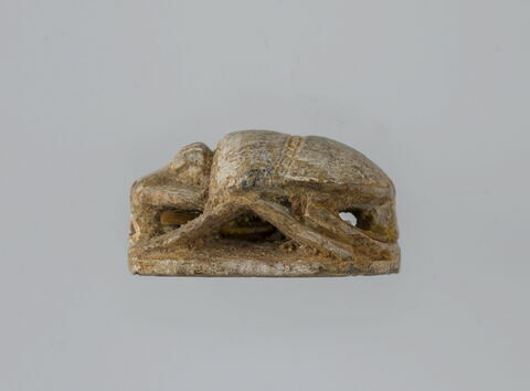 scarabée, image 3/3