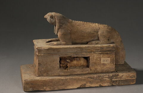 sarcophage d'animal ; élément momifié