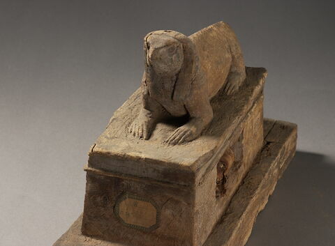 sarcophage d'animal ; élément momifié, image 7/8