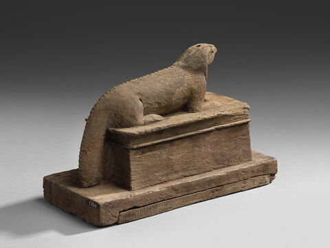 sarcophage d'animal ; élément momifié, image 4/8