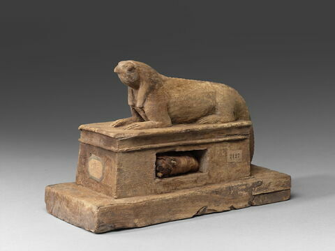 sarcophage d'animal ; élément momifié, image 5/8