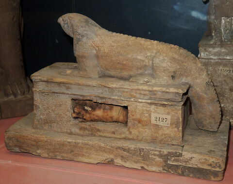 sarcophage d'animal ; élément momifié, image 6/8