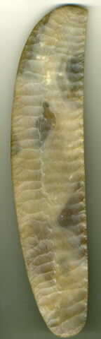 couteau ripple flake, image 2/2