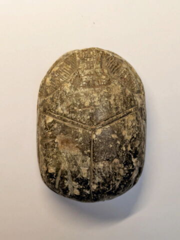 scarabée de cœur, image 2/3