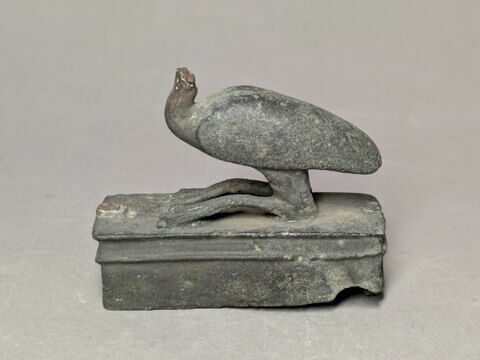 figurine de donateur  ; cercueil d'ibis