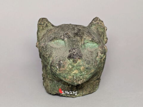 cercueil de chat