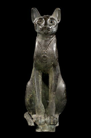 cercueil de chat, image 4/8