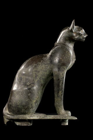 cercueil de chat, image 6/8