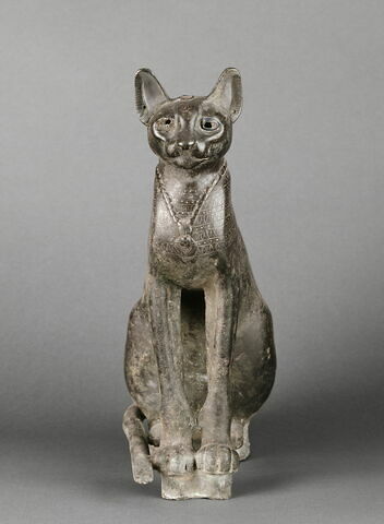 cercueil de chat, image 7/8