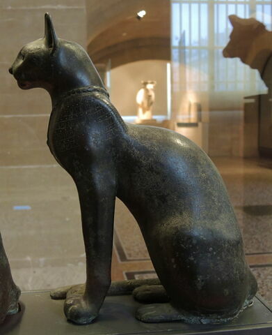 cercueil de chat, image 2/8