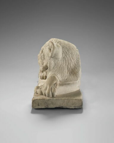 Lion du Sérapéum, image 2/5