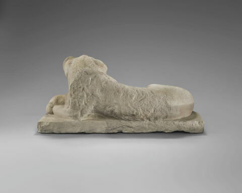 Lion du Sérapéum, image 3/5