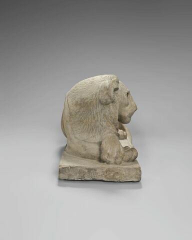 Lion du Sérapéum, image 2/5