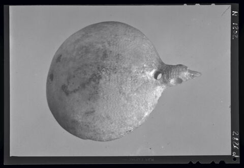 coupelle  ; vase plastique ; couvercle de vase, image 7/8