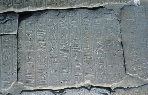 Le mur des annales de Thoutmosis III, image 13/21