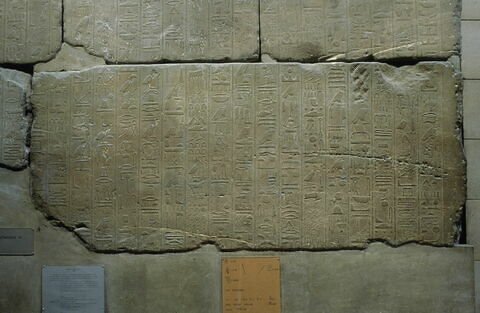 Le mur des annales de Thoutmosis III, image 18/21