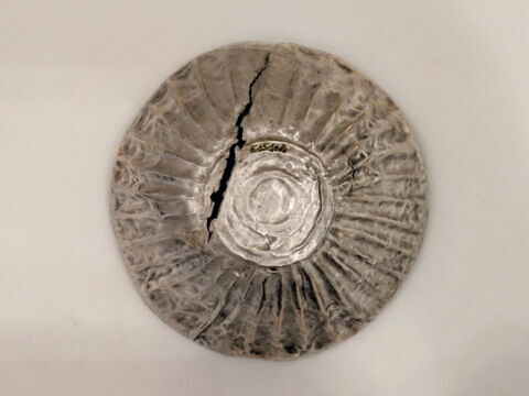 bol ; coupe, image 2/10