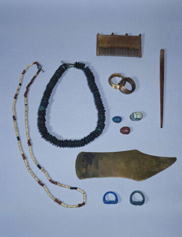 scarabée, image 2/4
