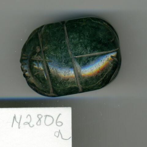 scarabée de cœur, image 3/3