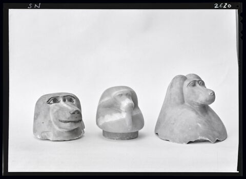 vase canope, image 2/2